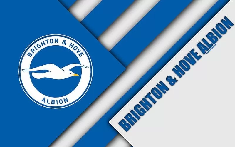 Brighton Hove Albion: Lịch sử, danh hiệu và những huyền thoại 1 Thông tin về lịch sử thành lập Brighton