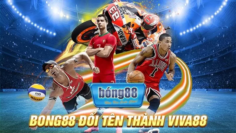 BONG88 32 Bong88 đổi tên thành Viva88