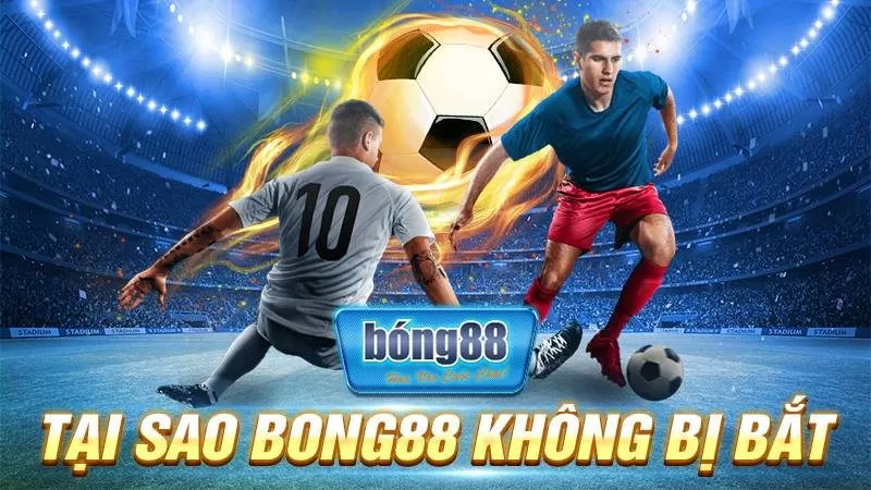 BONG88 28 Tại sao Bong88 không bị bắt?